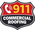 991 Logo